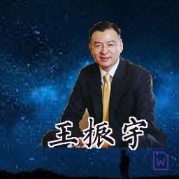 王振宇